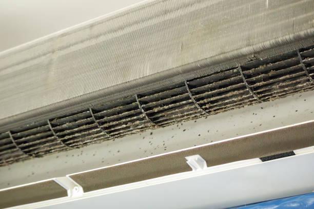 Home Air Vent Cleaning in CO